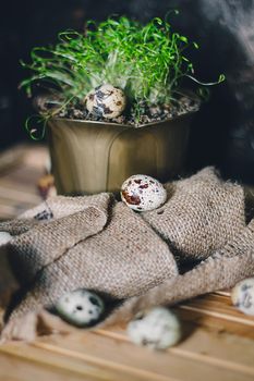 Spotted Quail eggs with green microgreen on a brown wooden table. Front view. Easter, Spring or healthy organic food concept.