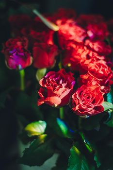 Red roses close-up. Tender bouquet. Spring vibes.