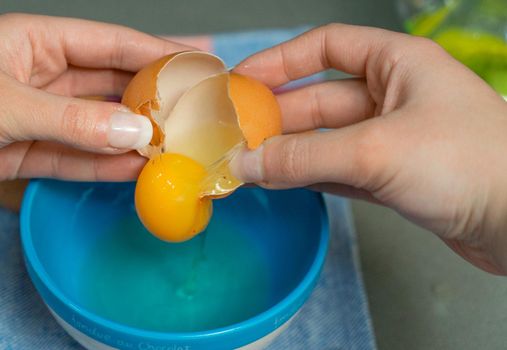 hen's egg yolk for festive recipe