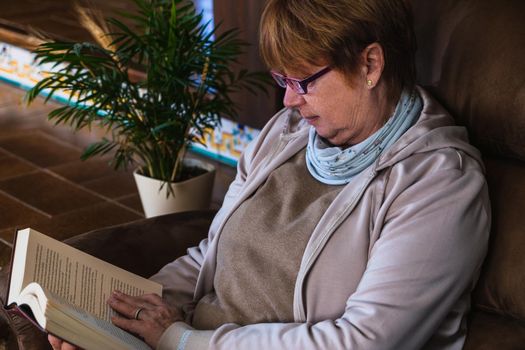 Size view of grandmother reading a book in her sofa with natural light. Old woman reading a book with natural plant behind and natural light