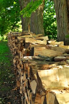 Chopped and Split Firewood Piled and Stacked Beneath Maple Trees in the Summer Time. High quality photo