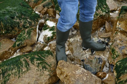 Rubber boots on stones with seaweed