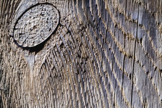 old rustic wooden texture - wood background banner. Horizontal orientation