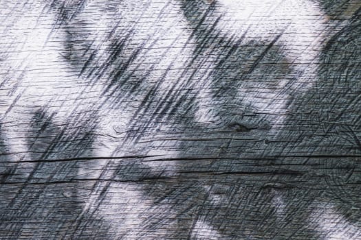 Rustic old wood plank texture for background and design concepts. the shadow of the foliage on the wooden board. gray. Horizontal. background