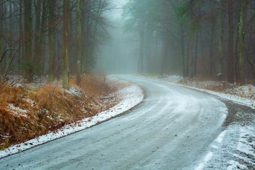 Icy gravel road through a misty forest, Nowiny, Poland