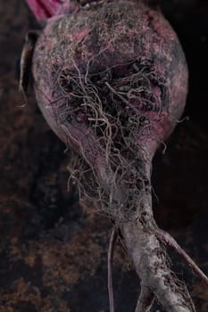 ugly food. beet roots on a rusty beautiful metal surface. close-up. vertical orientation.