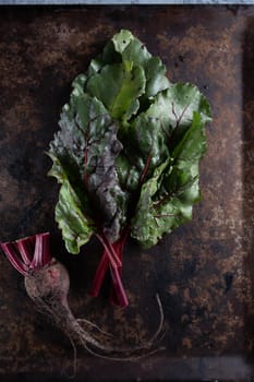 ugly food. Beets and beet leaves on a rusty beautiful metal surface. close-up. vertical orientation. flat lay. top view.