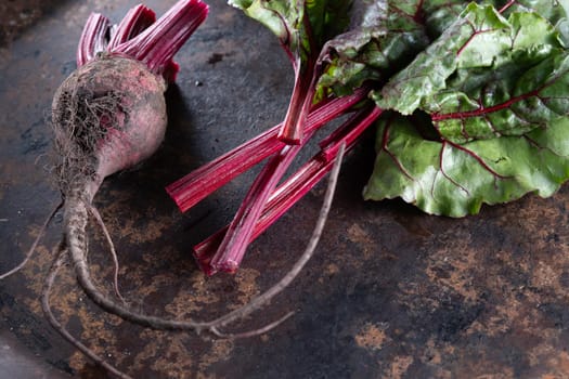 ugly food. Beets and beet leaves on a rusty beautiful metal surface. close-up. horizontal orientation. flat lay. top view.