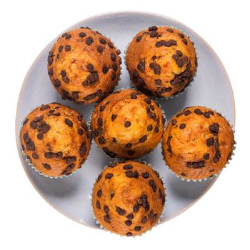 Muffins with chocolate chips on a ceramic plate isolated on white background.
