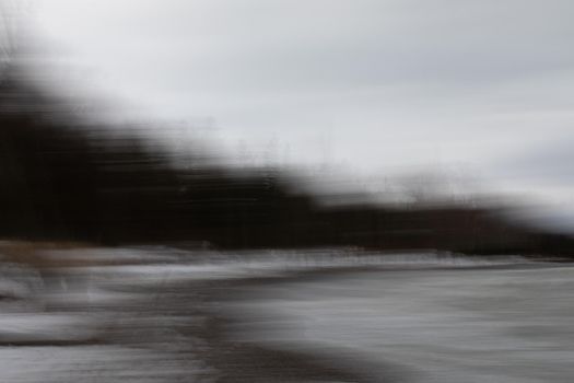 Intentional camera motion photo of trees on a beach. Near Southampton, Ontario, Canada