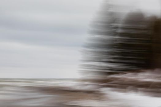 Intentional camera motion photograph of trees on a beach. Near Southampton, Ontario, Canada