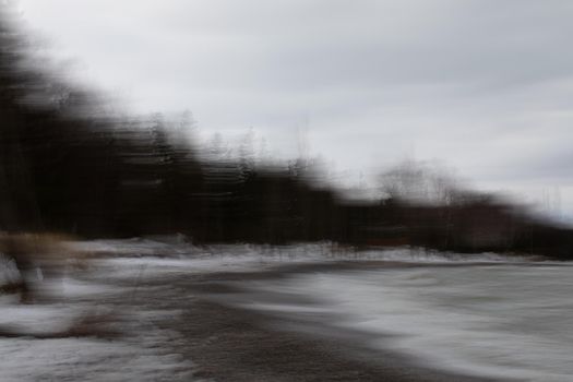 Intentional camera motion photo of trees on a beach. Near Southampton, Ontario, Canada