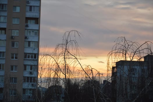 New buildings against the backdrop of a pink clouds in the city