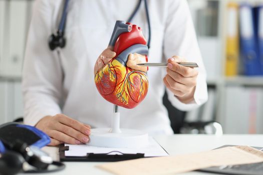 The doctor shows a plastic model to the ventricle of the heart, close-up. Cardiologist's office, medical training