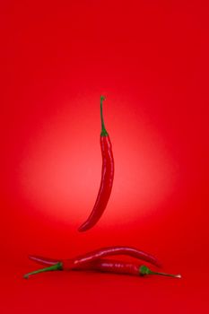Three of Chili peppers isolated on red background.Ripe red hot chili peppers.