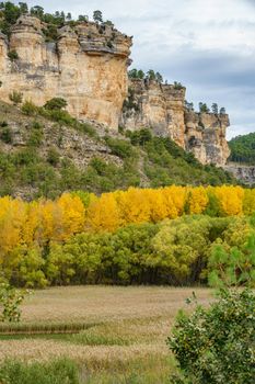 Vertical rocks and autunm landscape with yellow trees in Cuenca n5