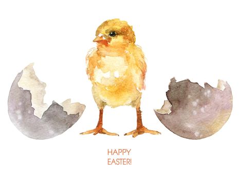 Watercolor illustrations of cute little chick and broken egg shell. Happy easter greeting card design.