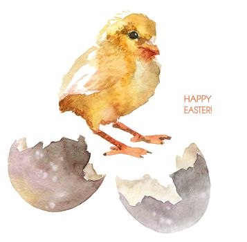 Watercolor illustrations of cute little chick and broken egg shell. Happy easter greeting card design.