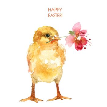Watercolor illustrations of cute little chick with a flower in its beak. Happy easter greeting card design.