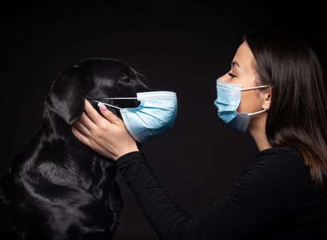 Portrait of a Labrador Retriever dog in a protective medical mask with a female owner. The picture was taken in a photo Studio