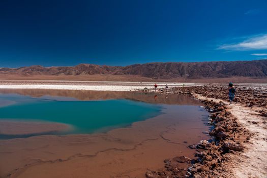 Deep bright green Baltinache Hidden lagoons salt lakes in Atacama with tourists, Chile