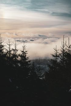 Low Clouds in Winter Valley with Pine Trees and Sky view from Mountain in Czechia. High quality photo Colorful stock photo