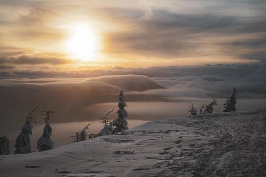 Sunset in Winter with very low clouds and frozen trees dramatic sky mist snow mountain top view. High quality photo