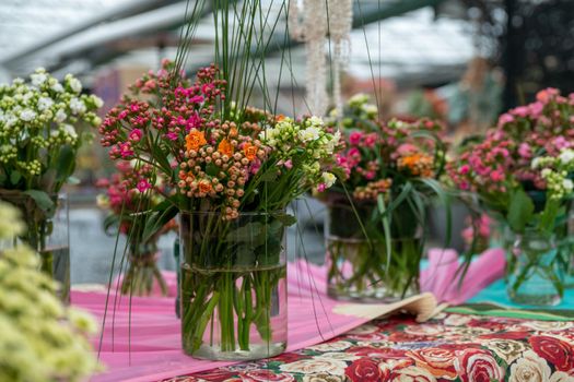 Different types of Kalanchoe in the glass vases