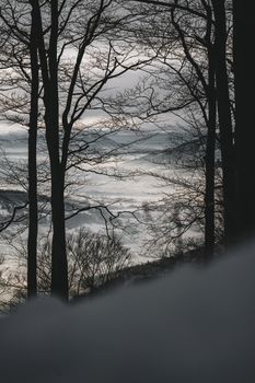 Trees in winter view of valley in snow. Czech Republic. High quality photo
