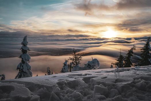 Sunset View From Top of the mountain with Trees and Low Clouds with snow in Europe. High quality photo