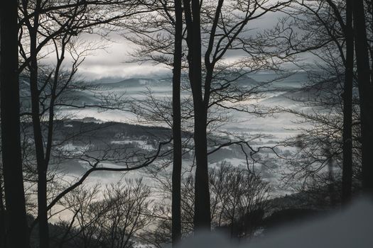 Valley in fog view trees mountain snow winter. High quality photo