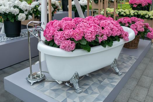 Vintage bath filled with pink hydrangea