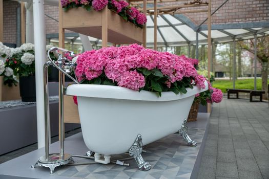 Vintage bath filled with pink hydrangea