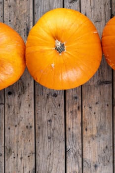 Composition of halloween decoration with pumpkins and copy space on wooden background. horror, fright, halloween tradition and celebration concept digitally generated image.