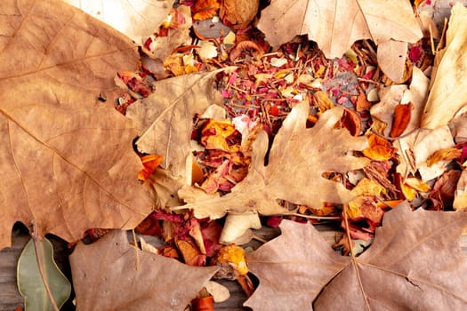 Composition of halloween decoration with dry leaves and seeds on white background. horror, fright, halloween tradition and celebration concept digitally generated image.