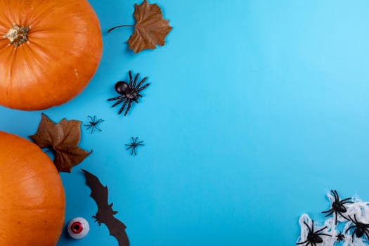 Composition of halloween decoration with pumpkin, bats, spiders and copy space on blue background. halloween tradition and celebration concept digitally generated image.