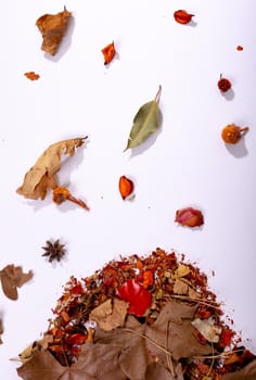 Composition of halloween decoration with dry leaves and seeds on white background. horror, fright, halloween tradition and celebration concept digitally generated image.