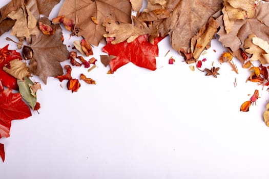 Composition of halloween decoration with dry leaves and copy space on white background. horror, fright, halloween tradition and celebration concept digitally generated image.