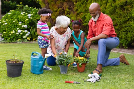 African american grandparents and grandchildren watering plants in garden. family, love and togetherness concept, unaltered.
