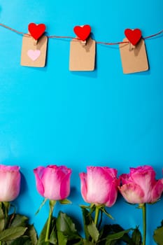 Red heart shapes on clothespins hanging from clothesline over pink roses against blue background. love and valentine decoration with copy space.