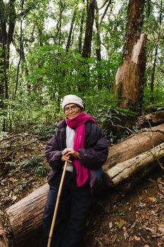 Asian elderly man relaxing during a trek with his family. An elderly hiker sits on a log and rests after a walk in nature.