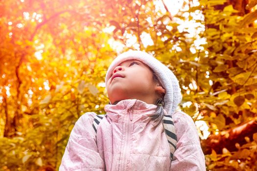 Cute little girl with backpacks hiking in nature with family. child looking up on tree. Preschoolers in winter clothes explore the forest, play and learn in nature.