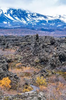 Dimmuborgir lava field with snow covered mountains in the background, vertical composition