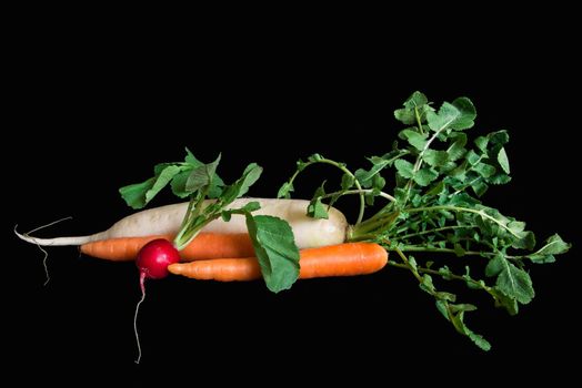 Group of vegetables on black background, carrot, radish and Daikon