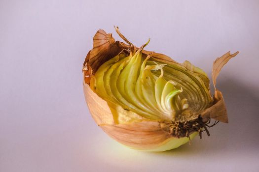 Onion halves on a piece of wood, Onion rot, Onion grows.