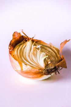 Onion halves on a piece of wood, Onion rot, Onion grows.