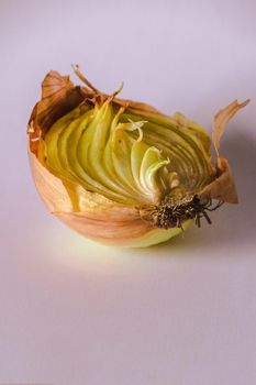 Onion halves on a piece of wood, Onion rot, Onion grows.