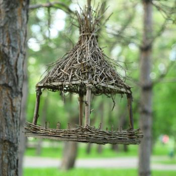 bird feeder in the green park