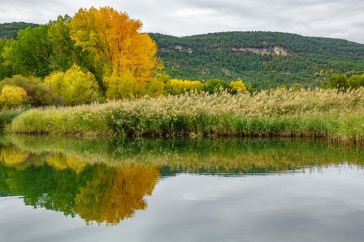Panorama of autumn reflection over lake with trees