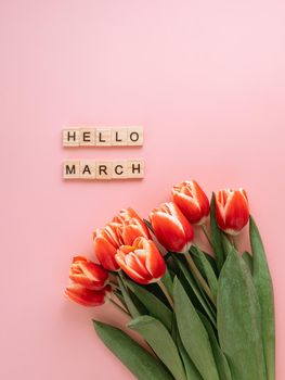 Hello march concept. Aesthetic background for beginning of spring. Hello march text and bunch of red tulip on pink background. Top view or flat lay. Vertical